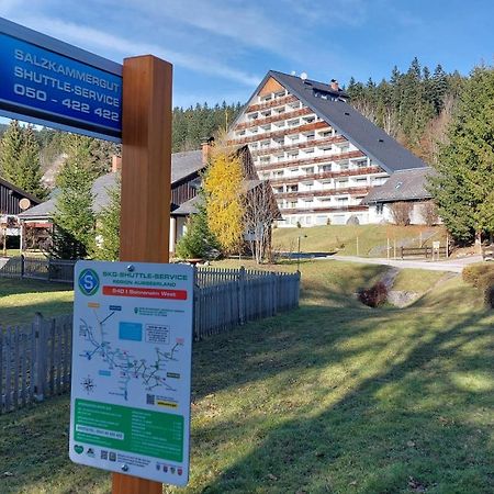 Amazing Family Apartment Bad Mitterndorf - Visit Hallstatt, Ski In Tauplitz Exterior photo