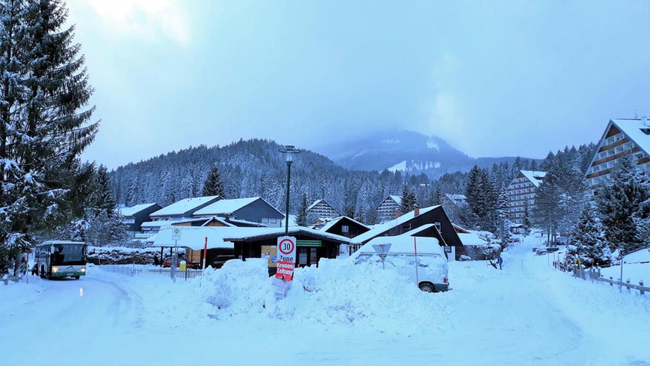 Amazing Family Apartment Bad Mitterndorf - Visit Hallstatt, Ski In Tauplitz Exterior photo